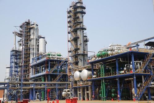 奮力在全省化工產業(yè)新舊動能轉換中率先突破